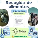 arena-para-perros-mercadona