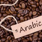cafe-arabico-y-sus-caracteristicas