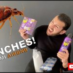 Insecticidas para chinches Mercadona: Encuentra las mejores opciones para eliminar estos molestos insectos en Mercadona