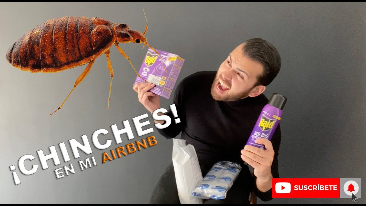 chinches-insectos-mercadona-insecticidas