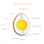 imagen-de-componentes-de-clara-de-huevo