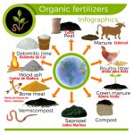imagen-de-fertilizantes-para-plantas