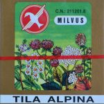 infusion-de-tila-alpina