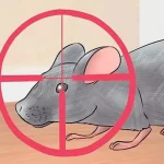 ¿Qué líquido ahuyenta a los ratones? Descubre cómo mantener tu hogar libre de estos roedores