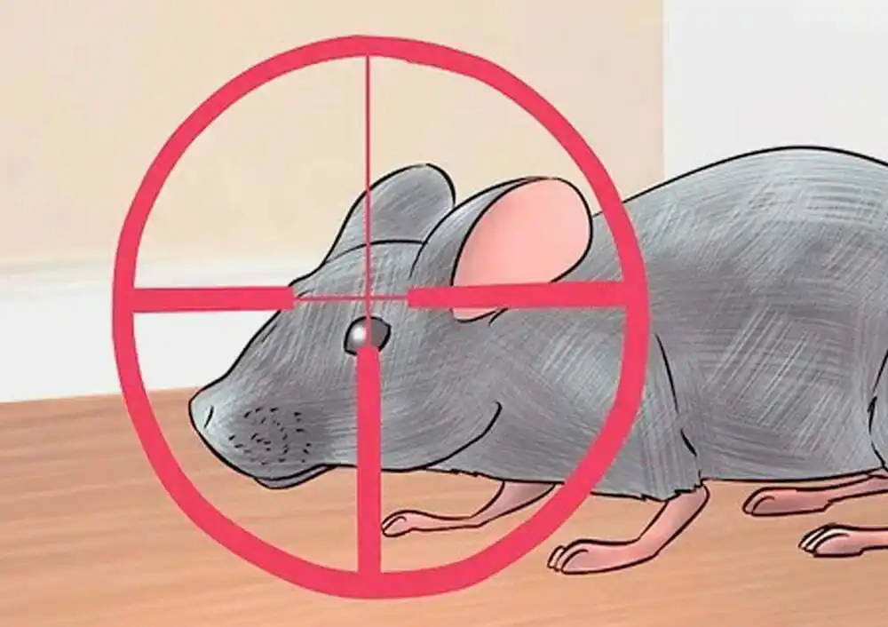 liquido-anti-roedores-y-ratones