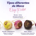 maca-negra-y-sus-beneficios