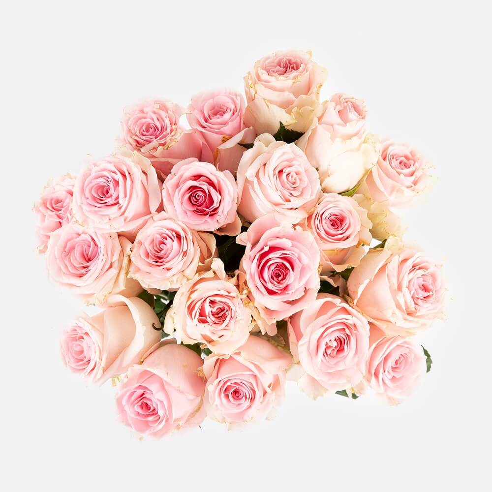 petalos-de-rosa-curativos-y-hermosos