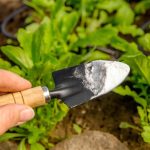 Cómo aplicar el bicarbonato de sodio en las plantas: guía completa para un cuidado natural y efectivo de tus cultivos