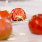 semillas-de-tomate-feo