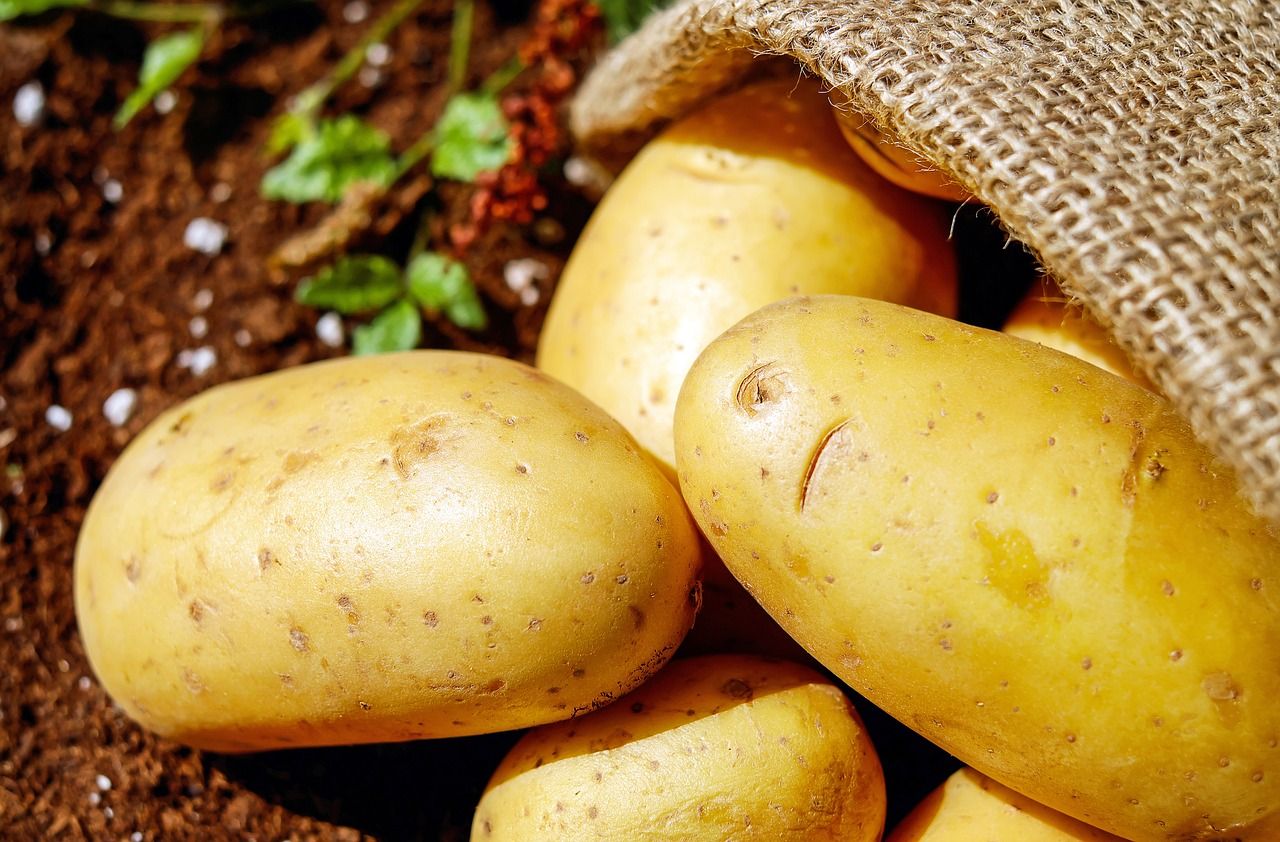 variedades-de-patatas-con-menos-almidon